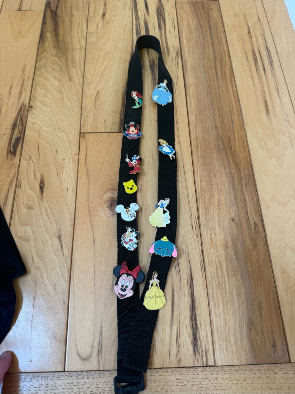 12 Assorted Disney Park Pin trading lot plus Lanyard
